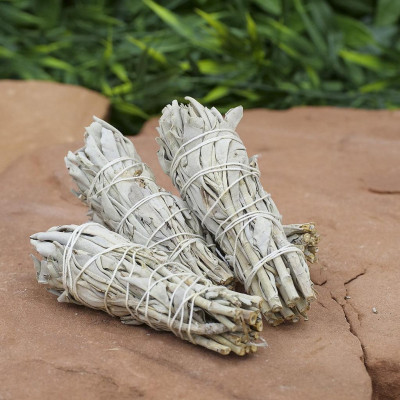{Bó dùng thử} Xô Thơm Trắng Thanh Tẩy [ White Sage]
