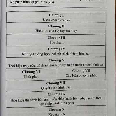 Mô Hình Luật Hình Sự Việt Nam