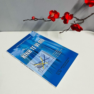 Sách - Kinh Tế Vi Mô (Trường ĐH Kinh Tế TP. Hồ Chí Minh)