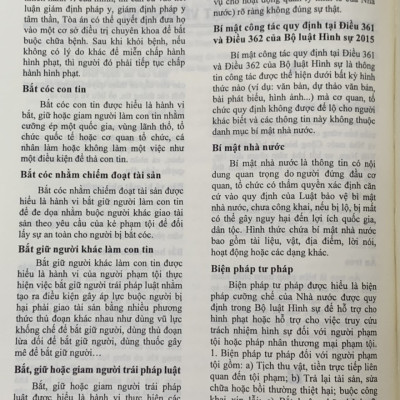 Từ điển Pháp Luật Việt Nam