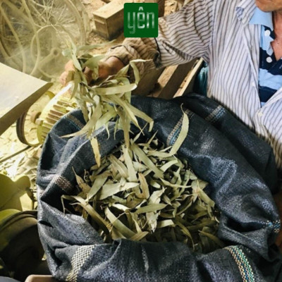 Nhang Khuynh Diệp Sạch Hộp 100 Thanh Loại 23-30-40cm Hộp 100 Thanh Yên 100 % Tự Nhiên Thờ Cúng Thư Giãn