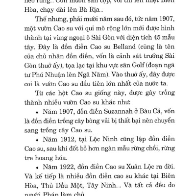 Kỹ Thuật Trồng Cây Cao Su Với Diện Tích Nhỏ