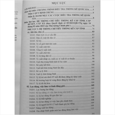 Sách Hệ Thống Chỉ Tiêu Thống Kê Cấp Tỉnh, Cấp Huyện, Cấp Xã theo Quyết định 05/2023/QĐ-TTg ngày 24/02/2023 - V2205T