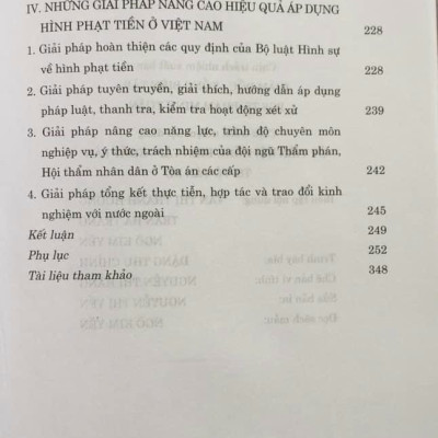 Hình Phạt Tiền Trong Pháp Luật Hình Sự Việt Nam Và Thực Tiễn Áp Dụng (Sách Chuyên Khảo)