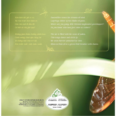 Sách - Khám Phá Việt Nam Xanh - A Touch Of Vietnam - Linh Hồn Cánh Mỏng - Souls With Thin Wings - Song Ngữ Việt-Anh