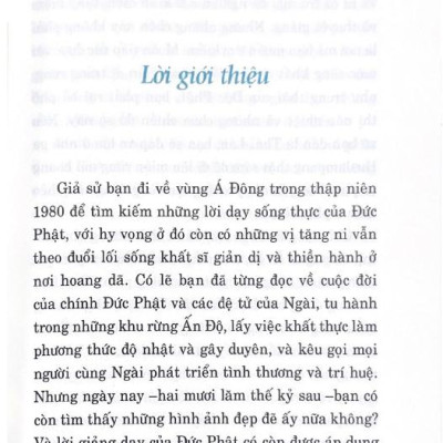 Tâm Tĩnh Lặng (Tái Bản 2024)