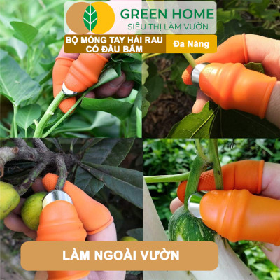 Bộ Móng Tay Hái Rau GreenHome, Có Đầu Bấm, Chống Bẩn Móng Tay, Bấm, Ngắt, Hái Rau Củ, Tiện Lợi