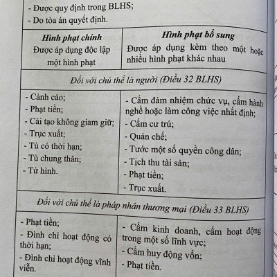 Mô Hình Luật Hình Sự Việt Nam