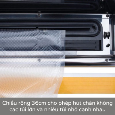 Máy Hút Chân Không Status 173300 Provac 360 Chuyên Nghiệp Thép Không Gỉ/Xám hàng chính hãng