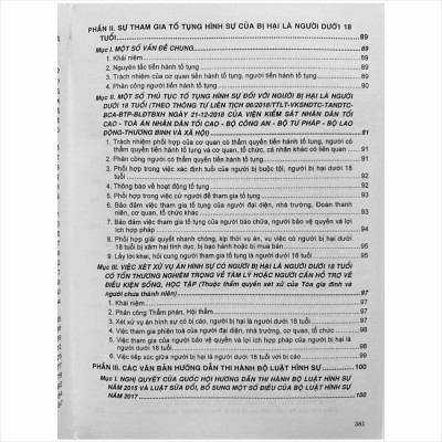 Sách Bình Luận Các Tội Phạm Có Bị Hại Là Người Dưới 18 Tuổi Trong Bộ Luật Hình Sự Năm 2015 và Sự Tham Gia Tố Tụng Hình Sự Của Họ (V1643P)