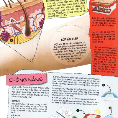 Tìm Hiểu Về: Cơ Thể Người