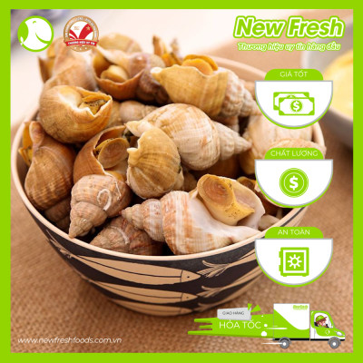 [GIAO NHANH HCM] Ốc Bulot Pháp Đông Lạnh - Túi 1Kg