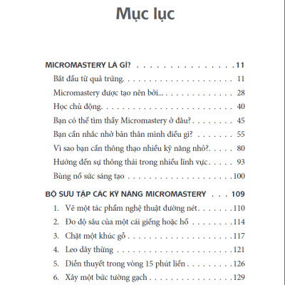 Micromastery - Thành Thạo Kỹ Năng Nhỏ, Vươn Đến Thành Công Lớn