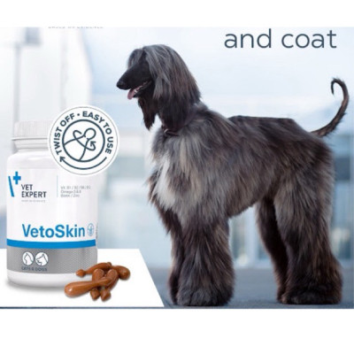 [Hộp 60 viên dầu] Vet Expert VetoSkin Sản phẩm bổ sung cho chó mèo giúp hỗ trợ các vấn đề về da