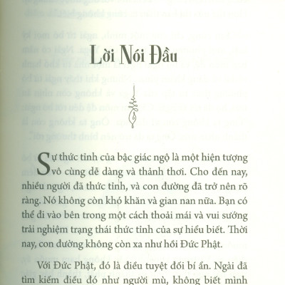 Như Chim Sải Cánh (A Bird On The Wing): Giai Thoại THIỀN Cho Đời Sống Tỉnh Thức - Osho, Thái An dịch