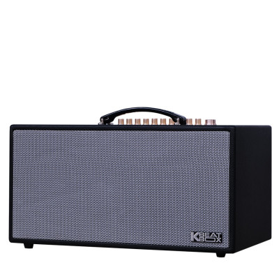 Dàn âm thanh di động xách tay ACNOS CS450SRV