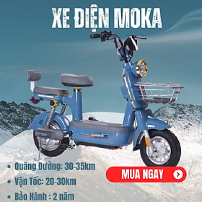 XE ĐIỆN MOKA