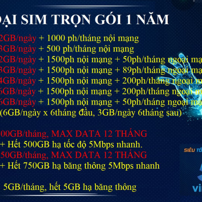 SIM 4G VINAPHONE TRỌN GÓI 1 NĂM - CHỌN LOẠI: 2GB/ngày, 6GB/ngày, 500GB/tháng - Hàng chính hãng