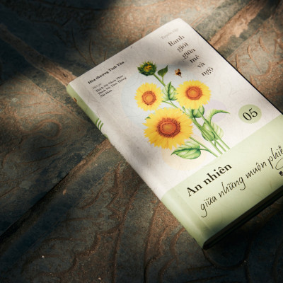 Sách - An Nhiên Giữa Những Muộn Phiền - Tập 5 - Tuyển Tập Ranh Giới Giữa Mê Và Ngộ - Đại sư Tinh Vân - Vĩnh Nghiêm Books