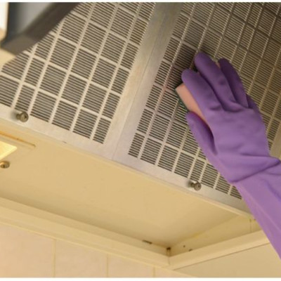 Găng tay cao su mềm mịn tự nhiên cao cấp Shaldan Vinyl màu tím - Made in Japan