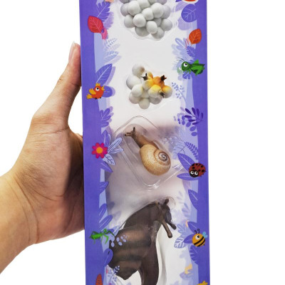 Đồ Chơi Mô Hình Vòng Đời Tự Nhiên - Ốc Sên Lớn Lên Như Thế Nào? - Firstar DK81261