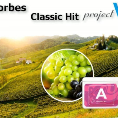 [TẶNG 5 TÚI PV ZIP] Thực Phẩm Sức Khoẻ BR+A | V Alphabet - Hỗ trợ trí não & Chống oxy hoá - PROJECT V - Xuất xứ Pháp, Hàng Chính Hãng