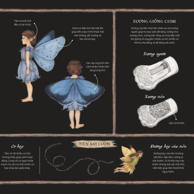 Sách - Cẩm Nang Về Tiên - Bìa Cứng