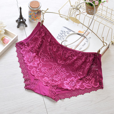 Quần Lót Nữ Nguyên Ren Cao Cấp 333 – Siêu Mềm, Co Giãn 4 Chiều, Ôm Dáng Thon Gọn