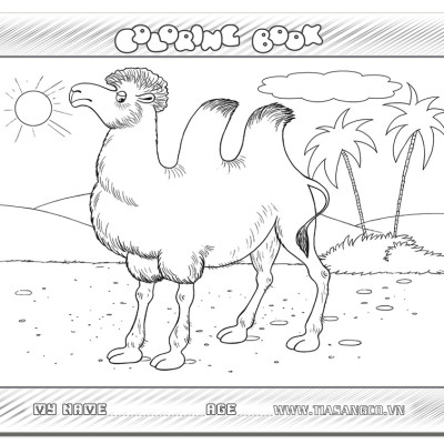 Xếp hình Tia Sáng Lạc đà  (30 Mảnh Ghép) - Tặng kèm tranh tô màu cho bé