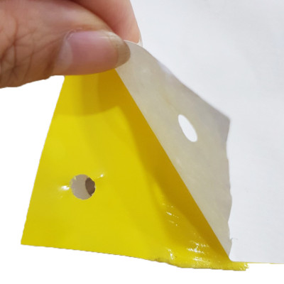 Miếng dính vàng Israel để Bẫy Côn Trùng gây hại vườn rau sạch (Bộ 5 Mét) như bẫy ruồi, bọ phần, ốc sên, bướm ...