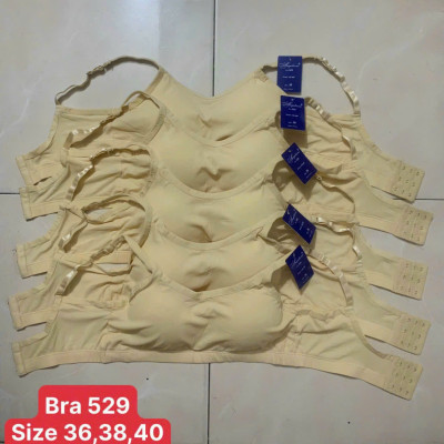 Áo lót nữ Angelavic 529 – Bra thun lạnh tăm, mút liền, cài sau, không gọng, nâng đỡ thoải mái