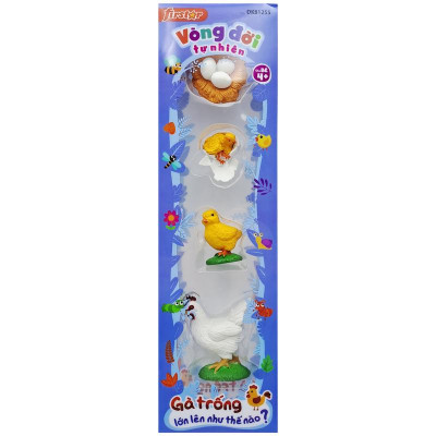 Đồ Chơi Mô Hình Vòng Đời Tự Nhiên - Gà Trống Lớn Lên Như Thế Nào? - Firstar DK81255