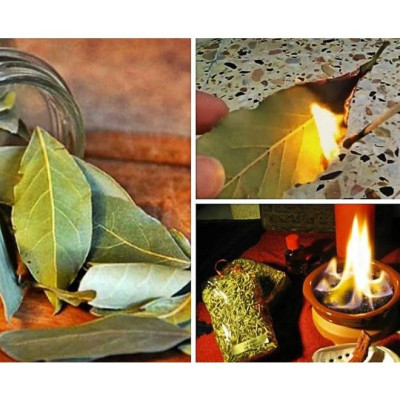 Lá Nguyệt Quế - Bay leaf may mắn (lá lành / lá vỡ) theo lựa chọn