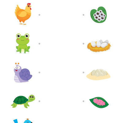 Combo Sách 365 Ngày Siêu Trí Tuệ Nhí - Phát Triển Tư Duy Logic IQ Cho Trẻ Em (Bộ 5 Cuốn)