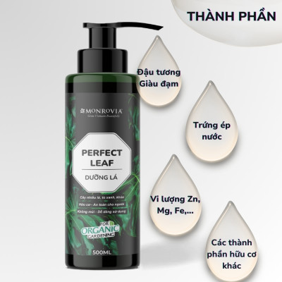 Phân bón DƯỠNG LÁ MONROVIA hữu cơ giúp lá xanh mướt, tươi tốt dành cho cây cảnh, dung tích 500ml