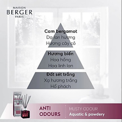 Maison Berger - Tinh dầu khuếch tán, khử mùi ẩm mốc hương Aquatic & Powdery  