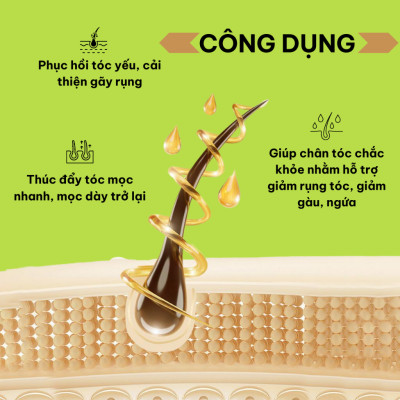 Siêu dưỡng tóc_Nước dưỡng thúc đẩy mọc tóc Hương Hoa Cỏ Phương Đông_120ml