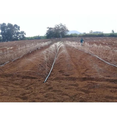 Ống Phun Mưa Dây Phun Mưa Tưới Cây Phi 34mm Dài 100m