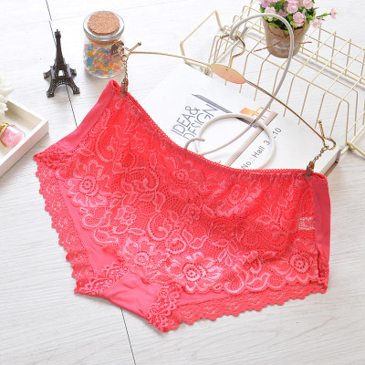 Quần Lót Nữ Nguyên Ren Cao Cấp 333 – Siêu Mềm, Co Giãn 4 Chiều, Ôm Dáng Thon Gọn