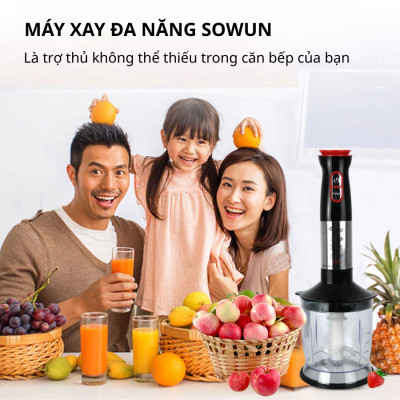 Máy Xay Cầm Tay Sowun SW5118 (800W) - Hàng Chính Hãng