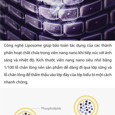 Tinh chất dưỡng da phục hồi và trẻ hóa Ampoule Labo DERMAFIRM - Bio Correction Ampoule Collagen R4 (50ml)