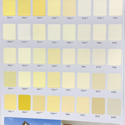 Sơn Nước Toa Supertech nội thất màu vàng 7923_18L