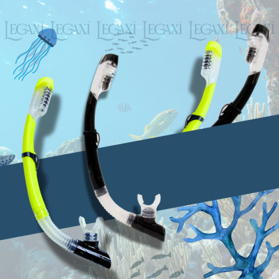 Ống Thở Bơi Lặn Biển Ngắm San Hô Đáy Biển Dã Ngoại Picnic