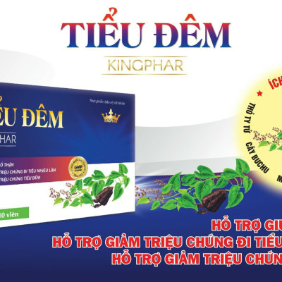 Tiểu Đêm Kingphar Hộp 30 Viên -Giúp bổ thận, cố tính, ấm bàng quang, tiểu khó, tiểu buốt, tiểu không tự chủ.