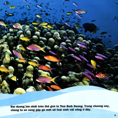 Cuốn Sách Lớn Đầu Tiên Của Tớ - Đại Dương - Bìa Cứng (Tái Bản 2024)