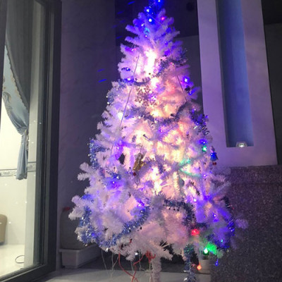 Cây thông noel màu trắng cao 2m4 - Tán dày và đẹp, cây thông chắc chắn và dể tháo lắp