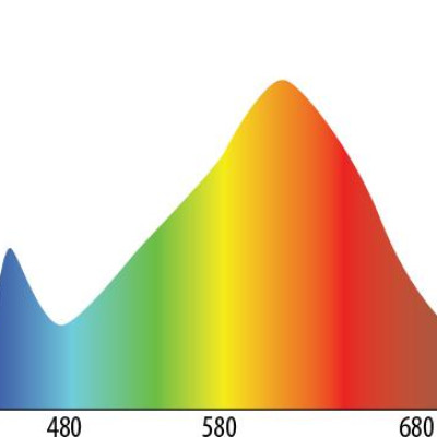Bóng đèn LED 9W chuyên dụng cho hoa cúc miền bắc chính hãng Rạng Đông Model: TR60.HC/9W