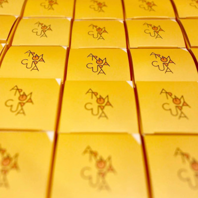 Lõi lọc nước vòi sen Vitamin C Aromacura Shower Filter Korea - Hương Chanh (Lemon)