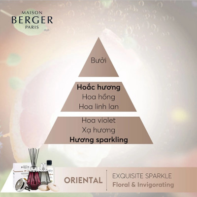 Maison Berger - Bộ kẹp tinh dầu xe hơi Exquisite Sparkle - 2 món