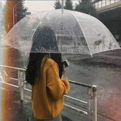 Dù Trong Suốt Thời Trang Cán Cong – Che Mưa Hiệu Quả, Nhẹ Nhàng Và Thanh Lịch